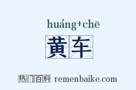 黄车是什么意思的图片